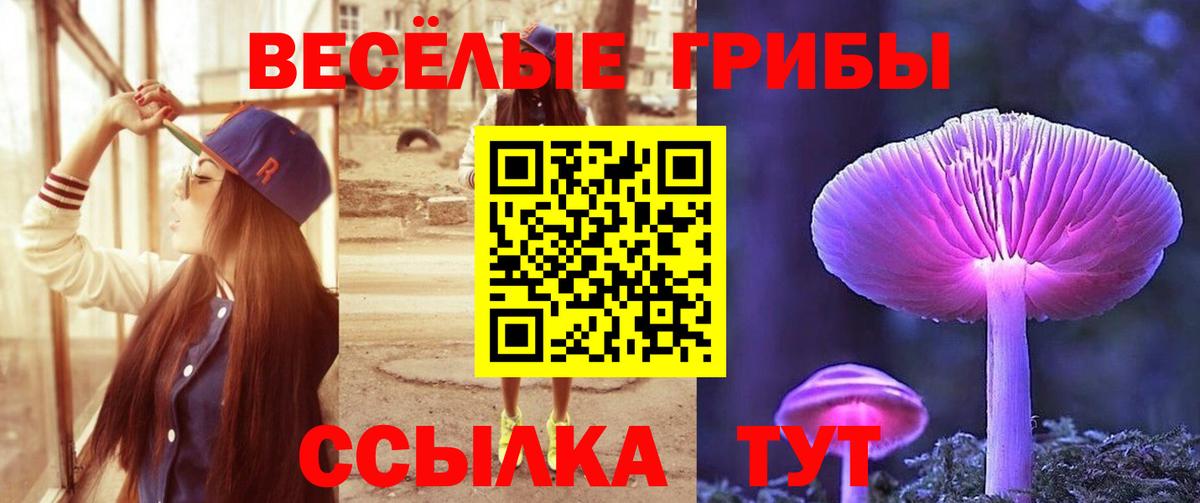 Подольск  Галлюциногенные грибы прущие грибы  Вход с VPN 