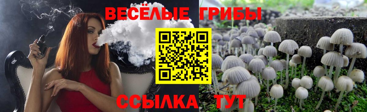 Галлюциногенные грибы Magic Shrooms Подольск